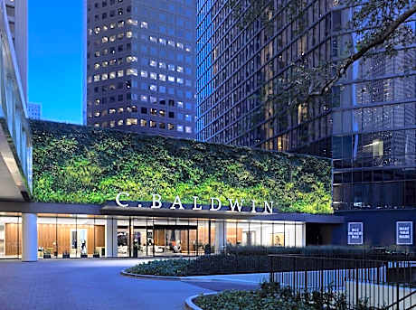 C. Baldwin, Curio Collection by Hilton