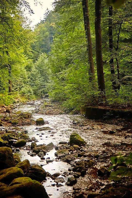 Kurpark Flair Hotel Im Ilsetal