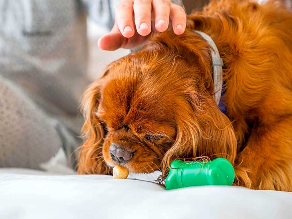 Mercure Napoli Angioino Centro