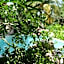 Casa Iguana Holbox - Beachfront Hotel