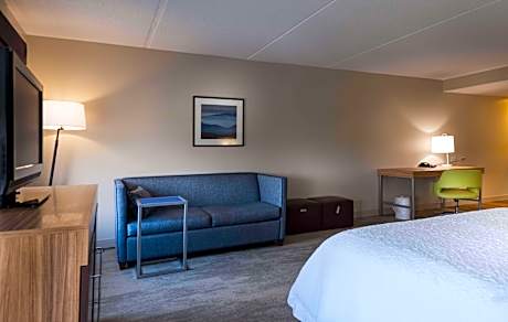1 King Bed Room With Sofa Bed