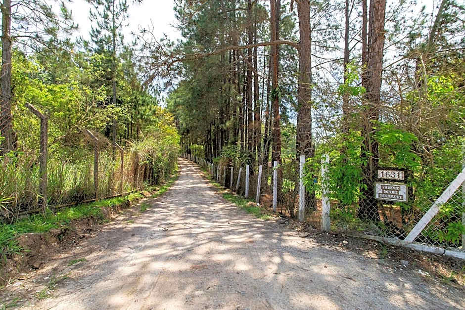 Sítio com piscina, área arborizada e lazer