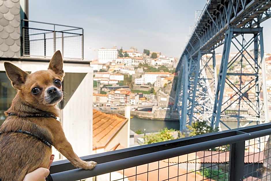 Oh! Porto Apartments