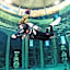Friendly Cityhotel Oktopus