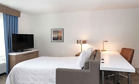 1 Kng 1 Bdrm Ste Mobility Access W/Bathtub