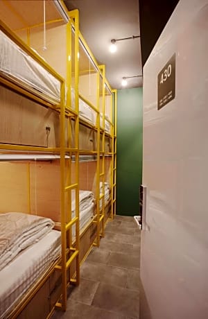 Single Bed in 6-Bed Dormitory Room
