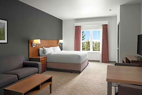 King Studio with Sofa Bed and Roll-in Shower - Mobility and Hearing Accessible
