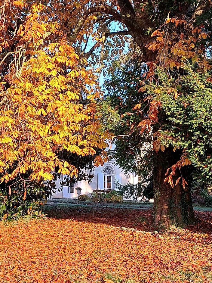 Domaine de Rateau