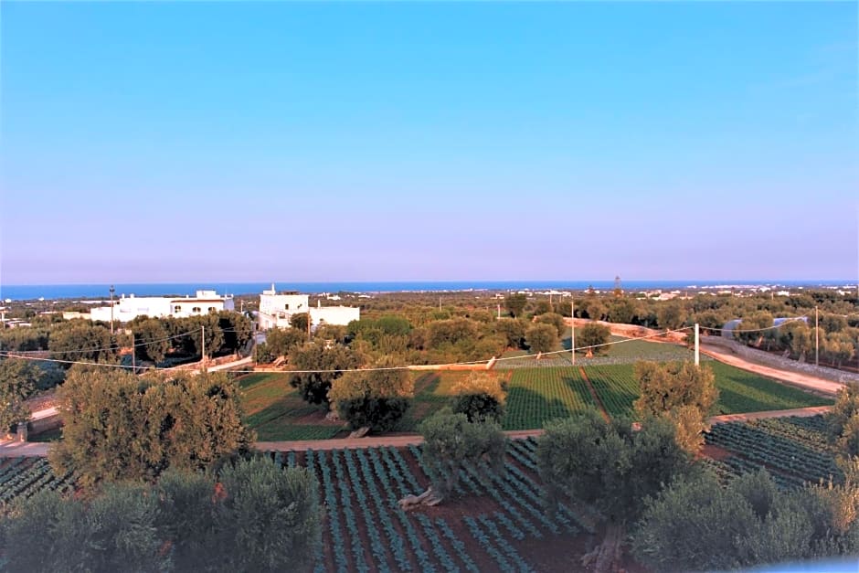 Don Peppe B&B – Monopoli, LA