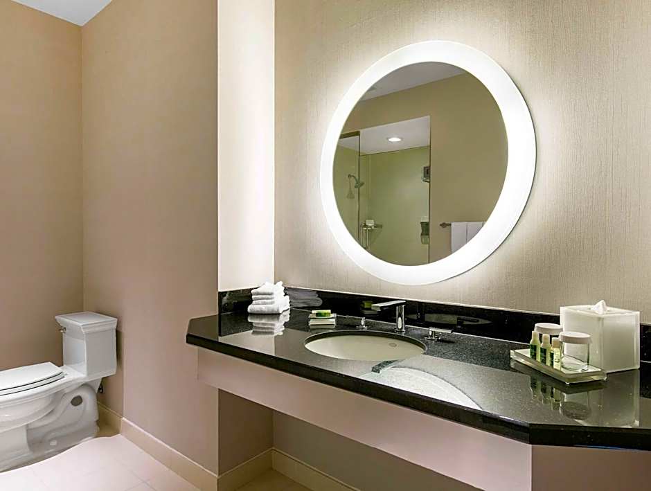 The Chicago Hotel Collection Magnificent Mile