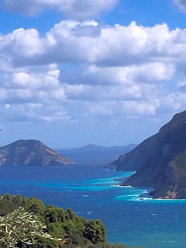 SK studios & apartments