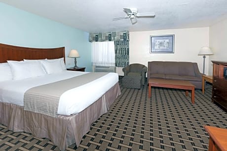 1 King Bed Smoking Suite With