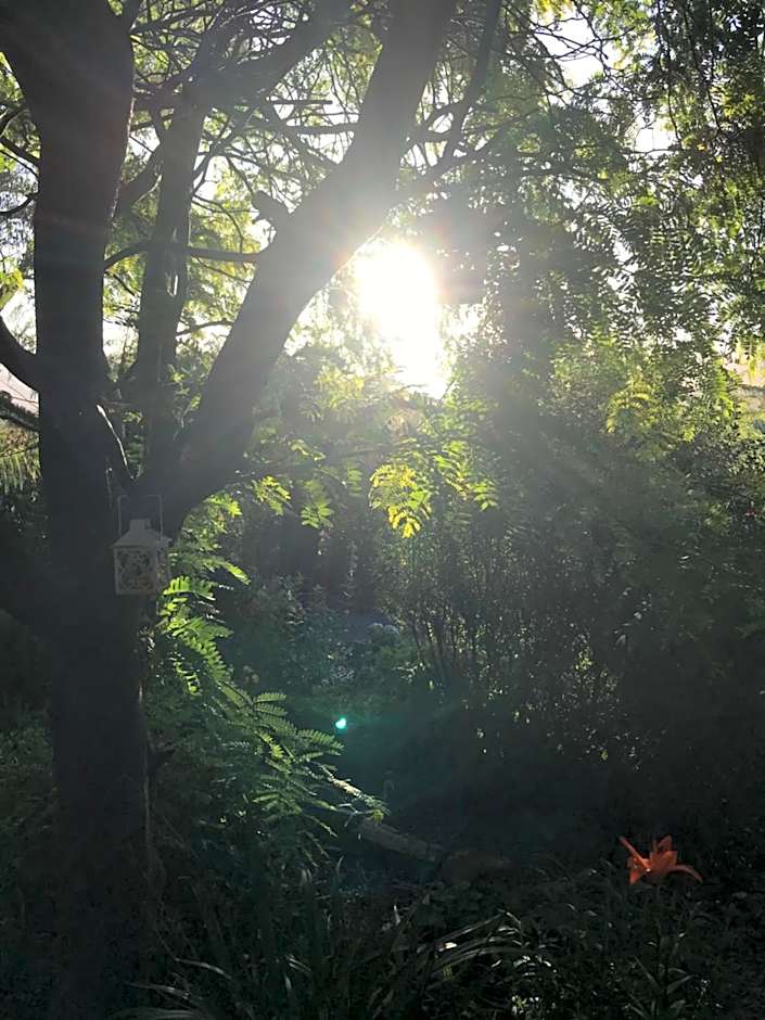 Hillside Bed and Breakfast