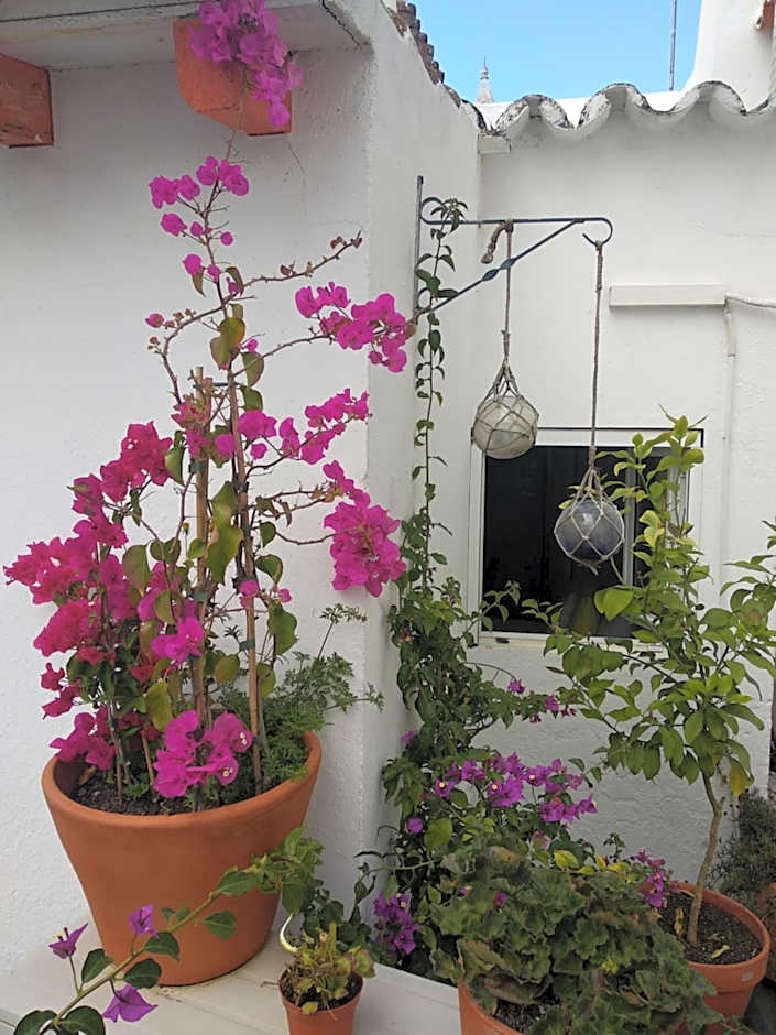 Bea's Bed & Breakfast