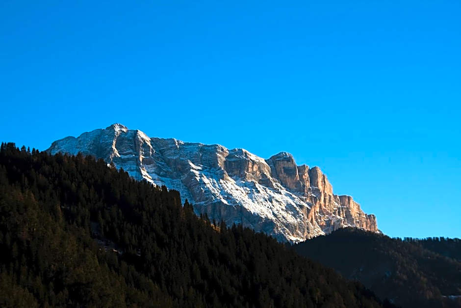 Piculin Alpin Apartments