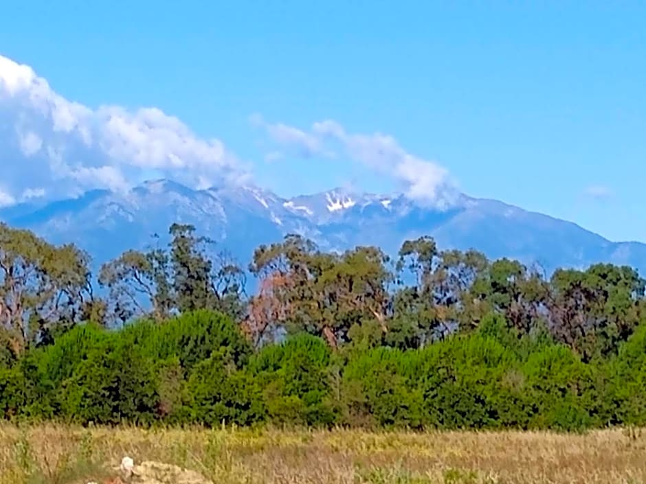 RUE DU BAC chambre d hôtes adultes only