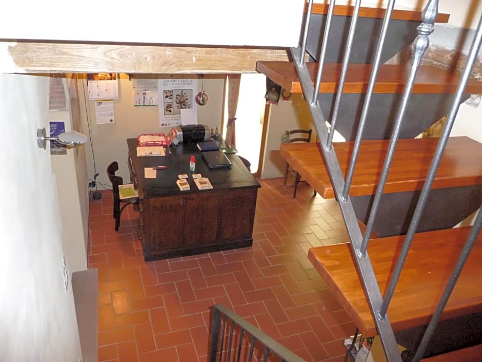 A Casa di Lizzy B&B