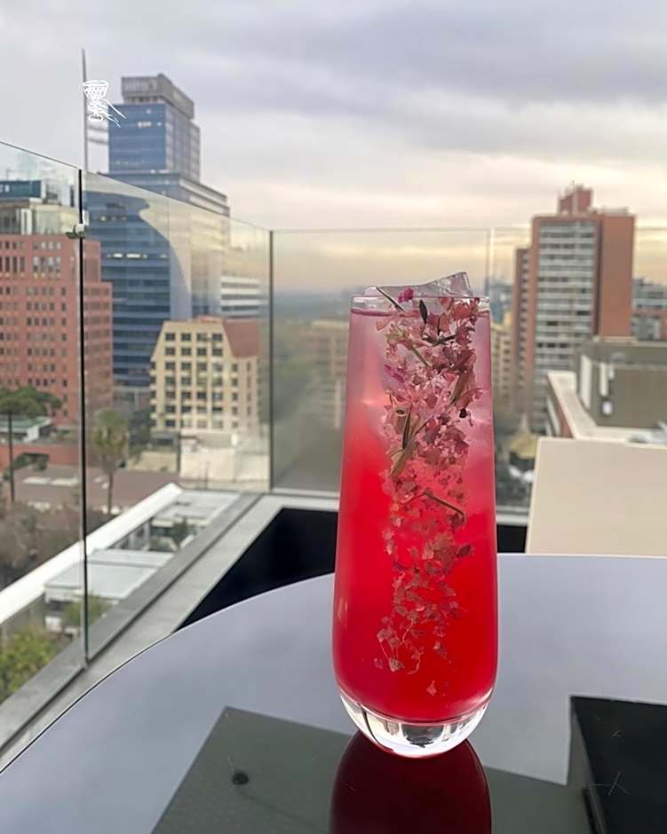 Solace Hotel Santiago