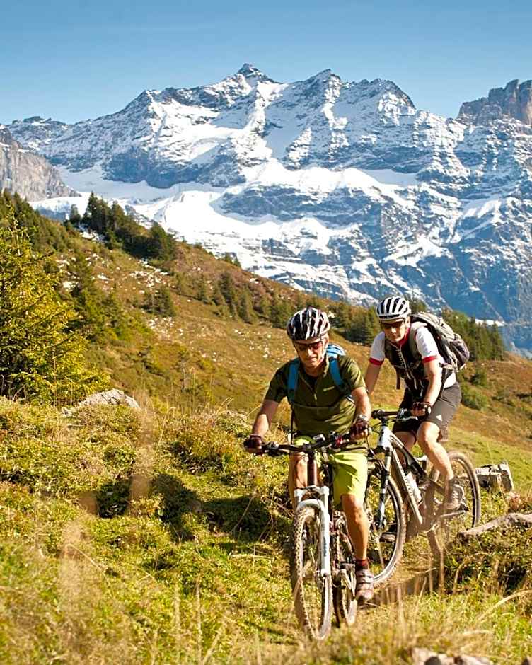 Alphotel Biel-Kinzig - Access by Cable Car only!