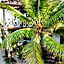 The Seles Boutique Hotel