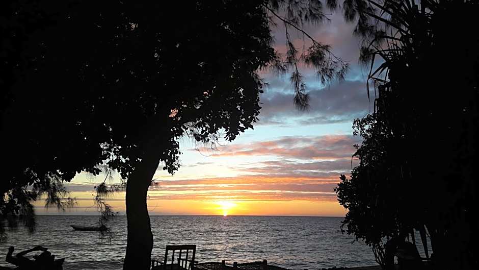 Gecko Nature Lodge Home of Swahili Divers the BEST dive center and Famous Gecko Restaurant