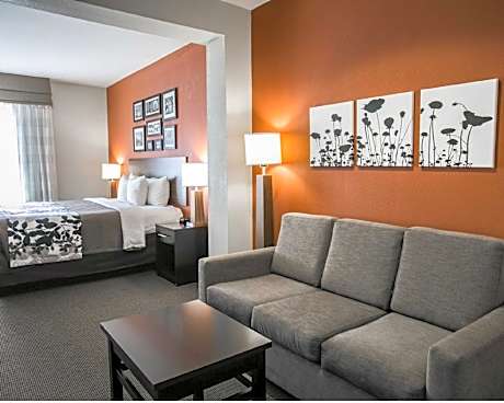 1 bedroom Suite