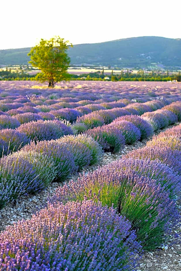 ibis budget Orange Centre