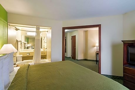 1 King Bed, Suite, Nonsmoking