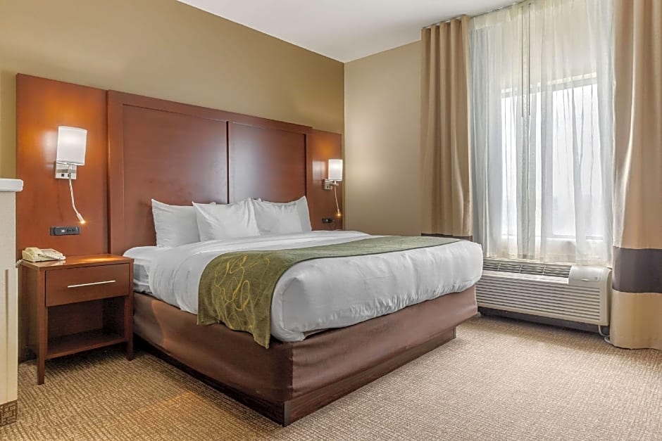 Comfort Suites Johnson City near University