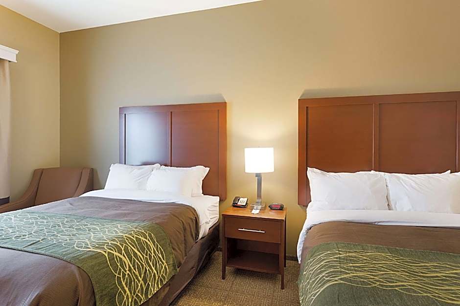 Comfort Inn & Suites Zachary