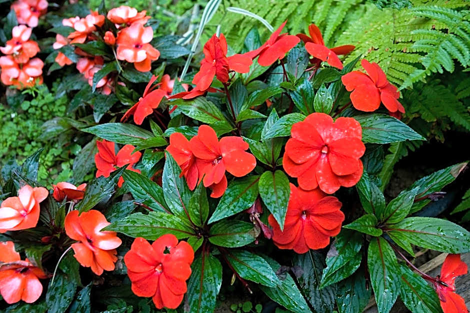 Diese Hotel Bastille