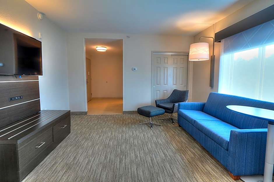 Holiday Inn Express Hotel & Suites Mobile Saraland By IHG