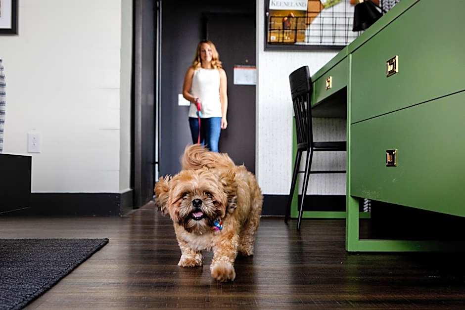 Origin Hotel Lexington