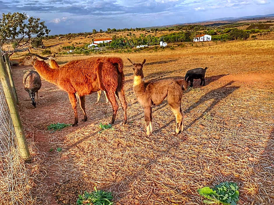 Monte Santa Catarina