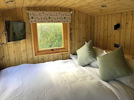 Hut-King-Ensuite-Woodland view-Grizzly Bear Hut