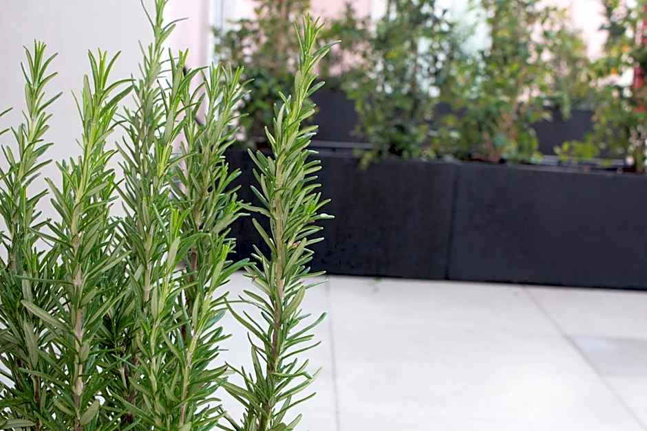 Cardeal Suites & Apartments