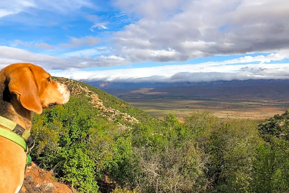 Royal Karoo Safari Lodge