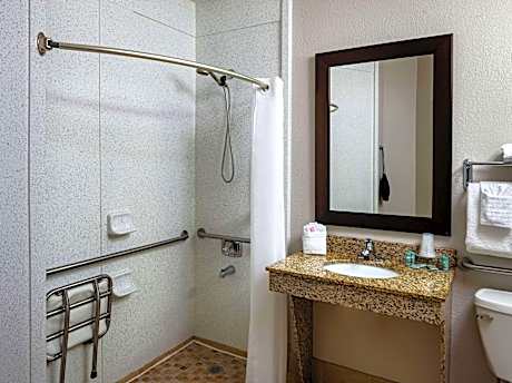 King Room with Roll-in Shower and View - Mobility Accessible