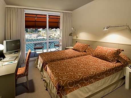 Superior Double or Twin Room with Lake View