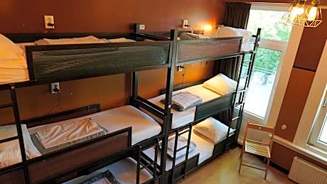 Bed in 12-Bed Mixed Dormitory Room