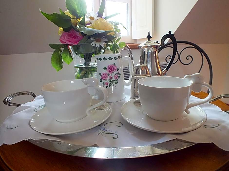 Château de Nazé Vivy-Saumur