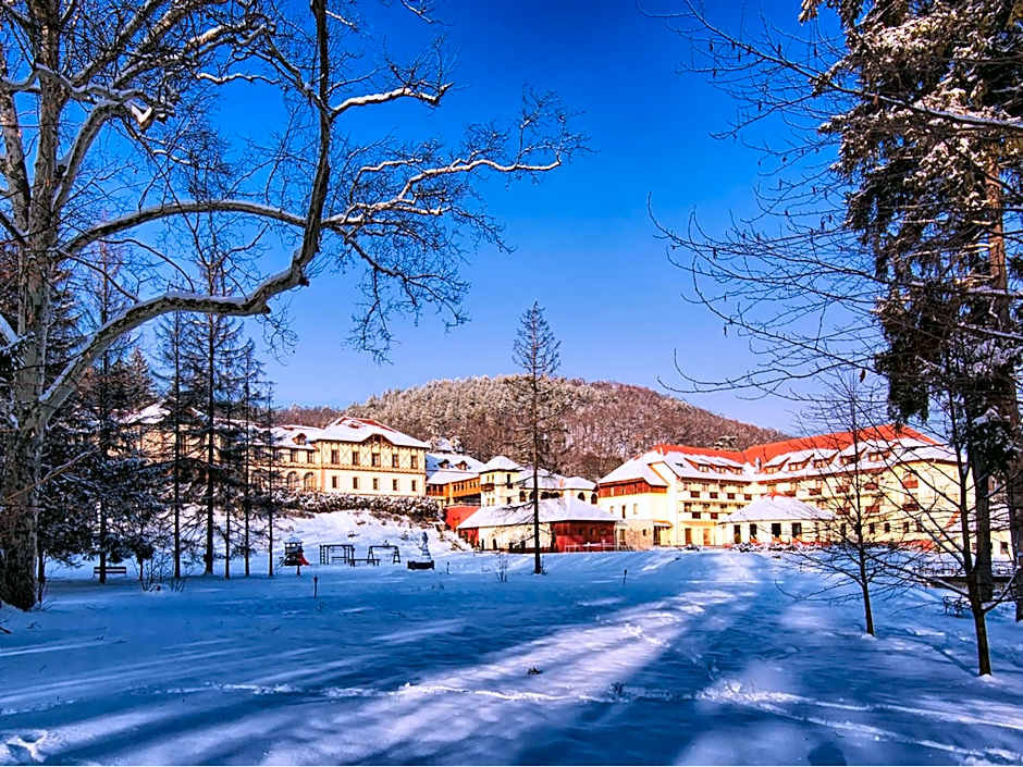 Erzsébet Park Hotel