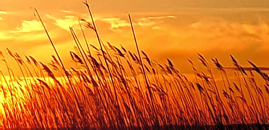Hotel Am Markt & Brauhaus Stadtkrug