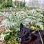 Agri B&B Ca' Gennara