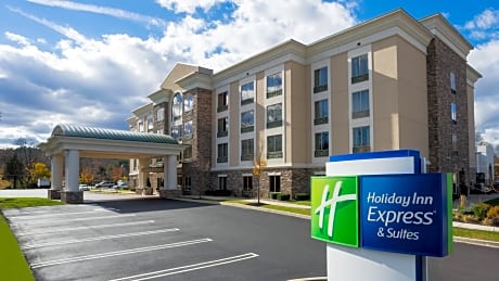 Holiday Inn Express and Suites Stroudsburg-Poconos, an IHG Hotel