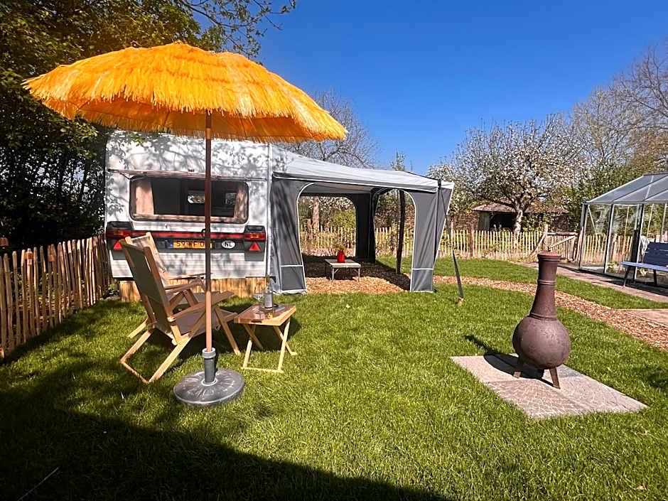 Camping Wijndomein Erve Wisselink