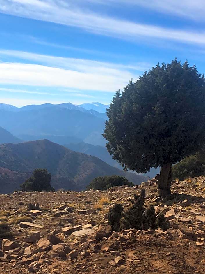 Issouganes N Toubkal Maison d hôtes