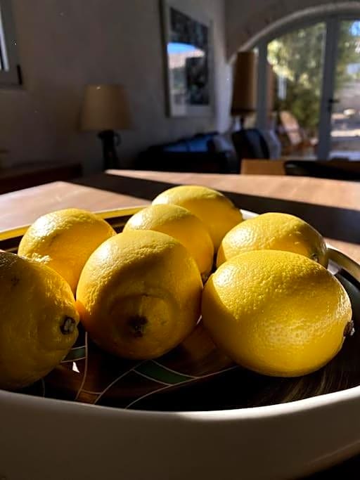 Le Nomade en Provence