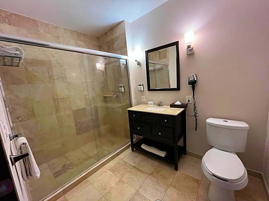 Holiday Inn Mexico Santa Fe By IHG