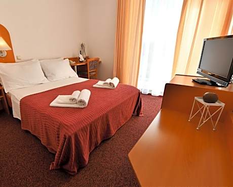 Single Room with Balcony